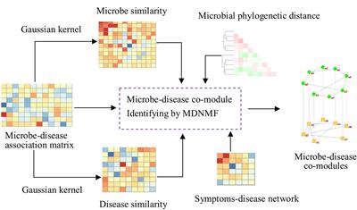 Integrative Analysis for Identifying Co-Modules of Microbe-Disease Data by Matrix Tri-Factorization With Phylogenetic Information